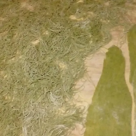Agri Bertorella *